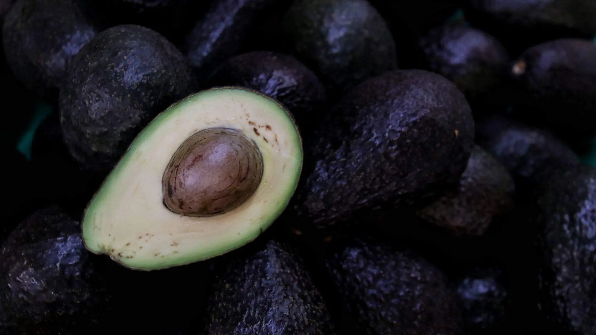 Aguacates en Jalisco son supervisados por Guardia Nacional